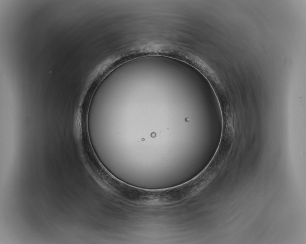 X0000114590678200910191557