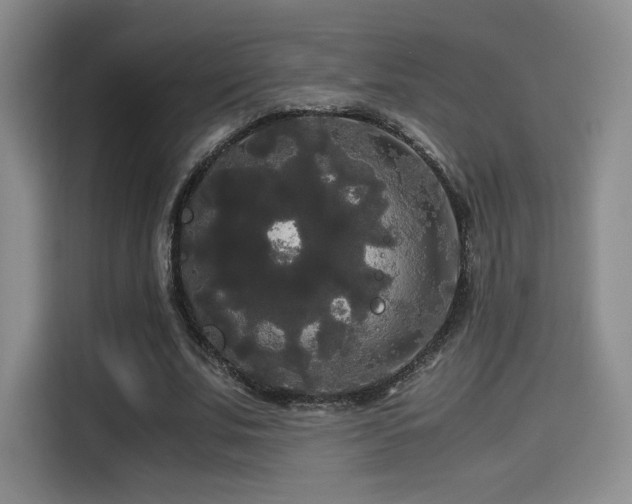 X0000114590679200910191557