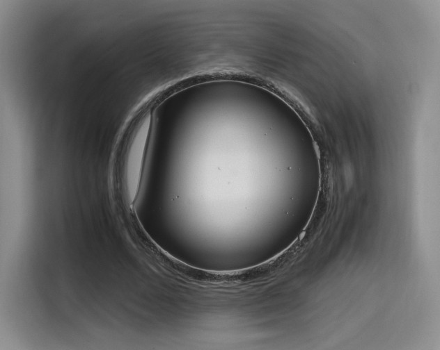 X0000114590680200910191557