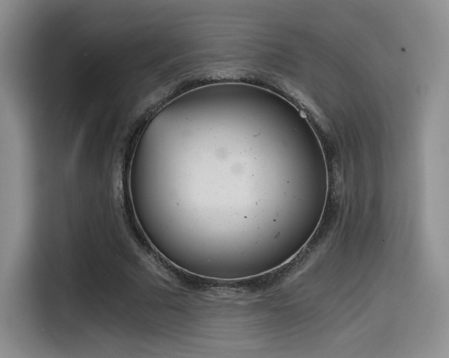 X0000114590681200910191557