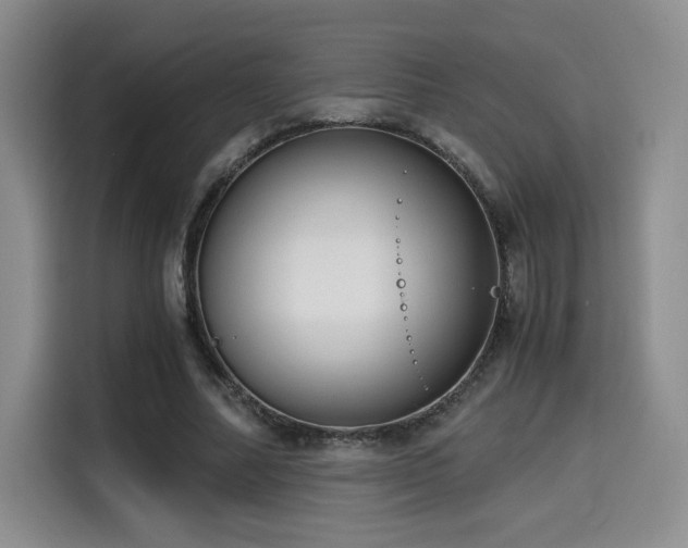X0000114590682200910191557