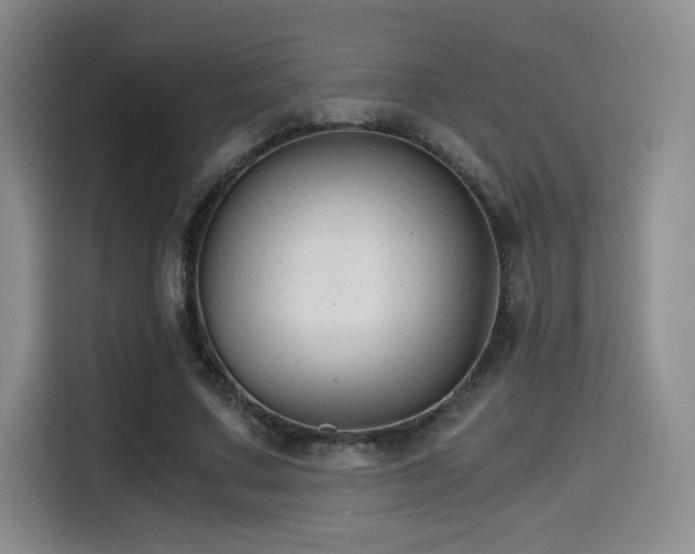 X0000114590683200910191557