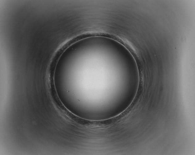 X0000114590684200910191557