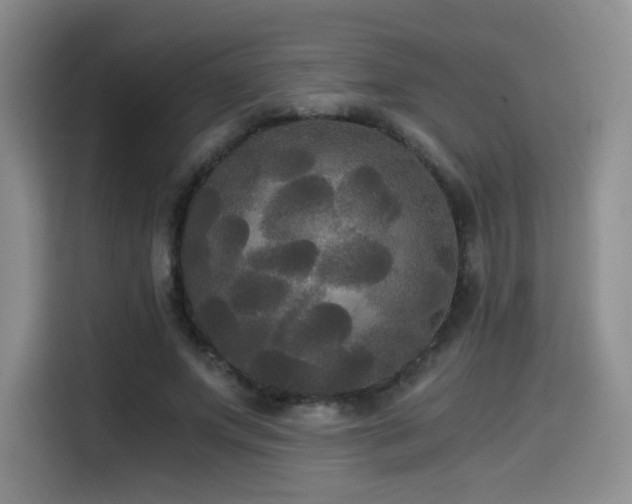 X0000114590687200910191557