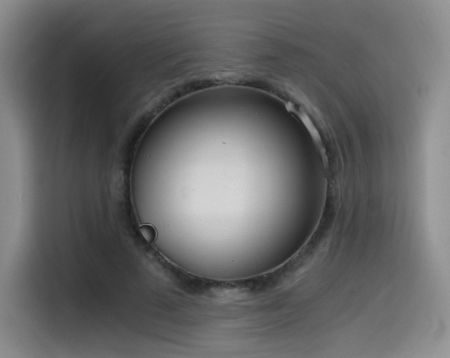 X0000114590689200910191557