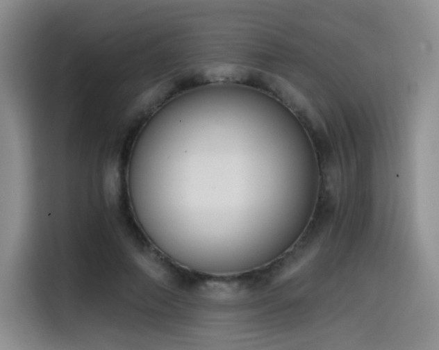 X0000114590690200910191557