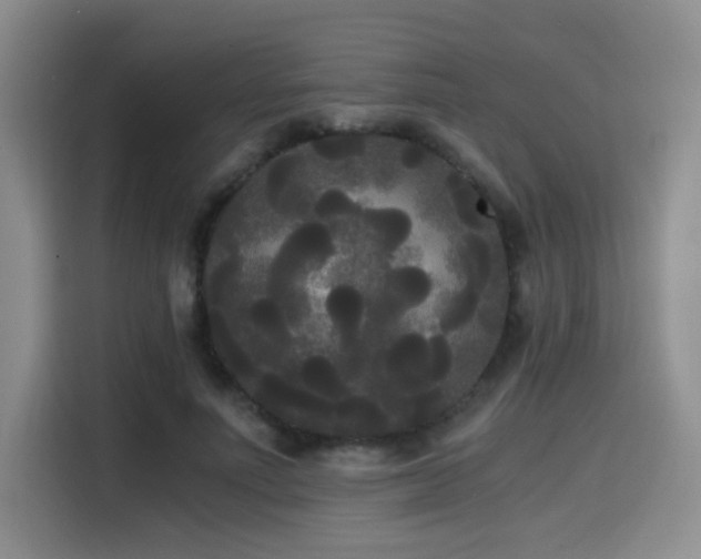 X0000114590691200910191557