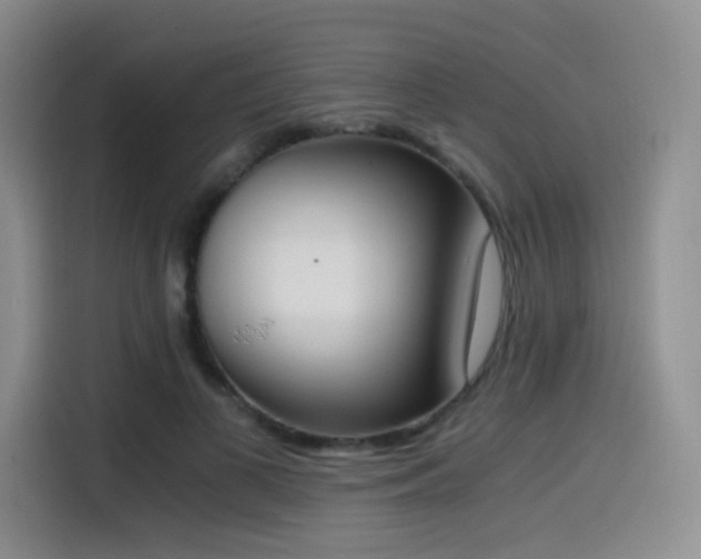 X0000114590693200910191557