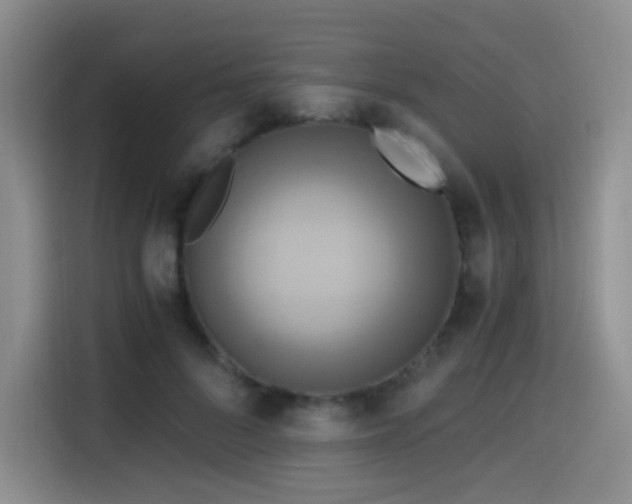 X0000114590696200910191557