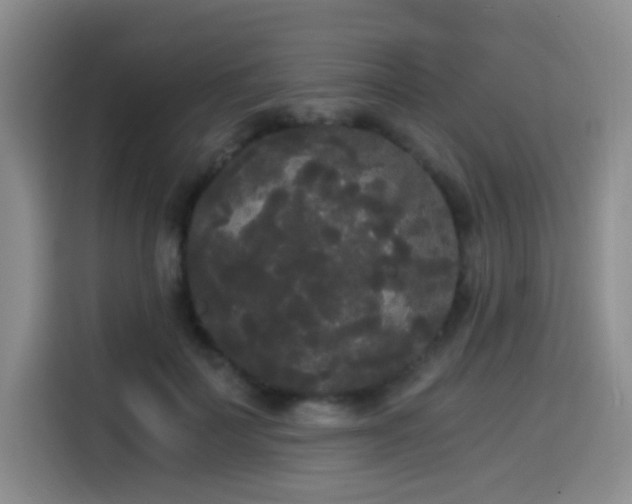 X0000114590699200910191557