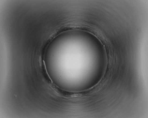 X0000114590700200910191557