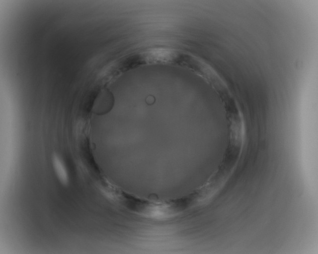 X0000114590701200910191557