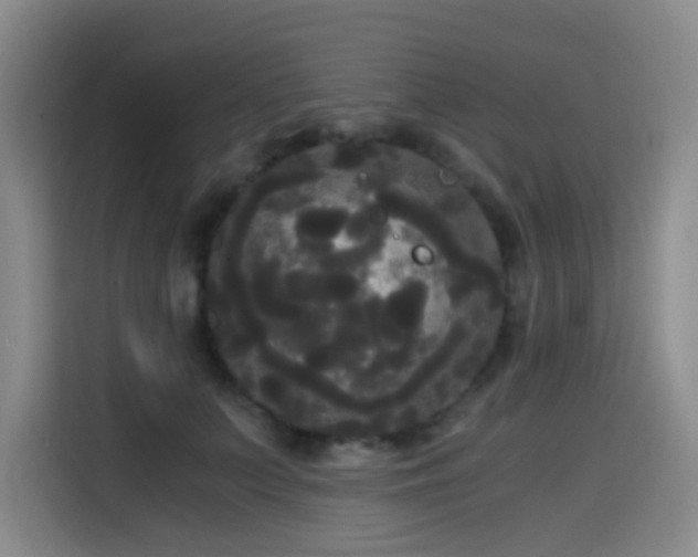 X0000114590703200910191557