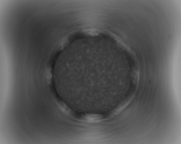 X0000114590707200910191557
