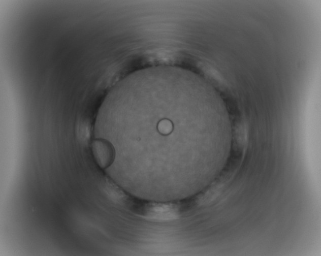 X0000114590709200910191557