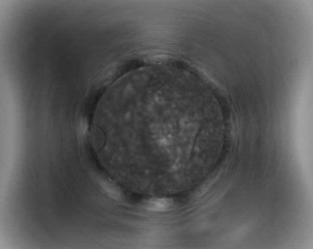 X0000114590711200910191557
