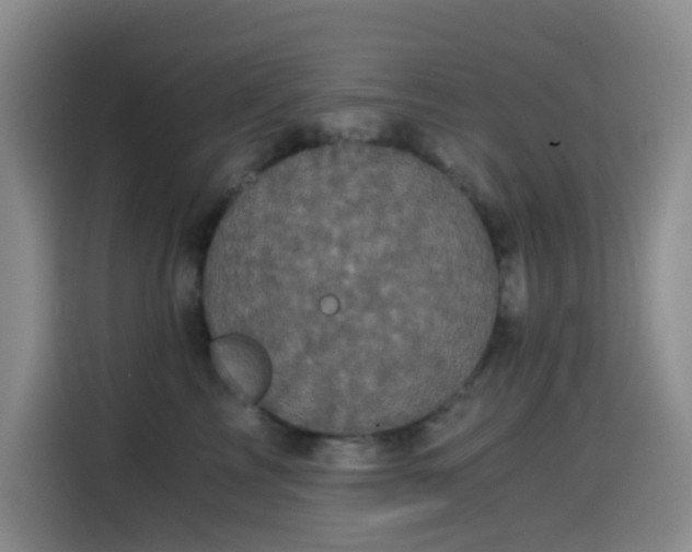 X0000114590713200910191557