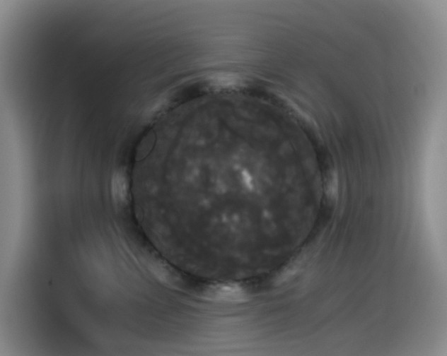 X0000114590715200910191557