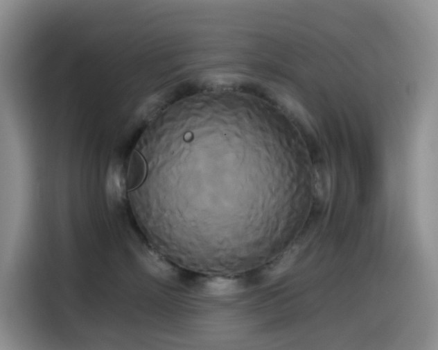 X0000114590718200910191557