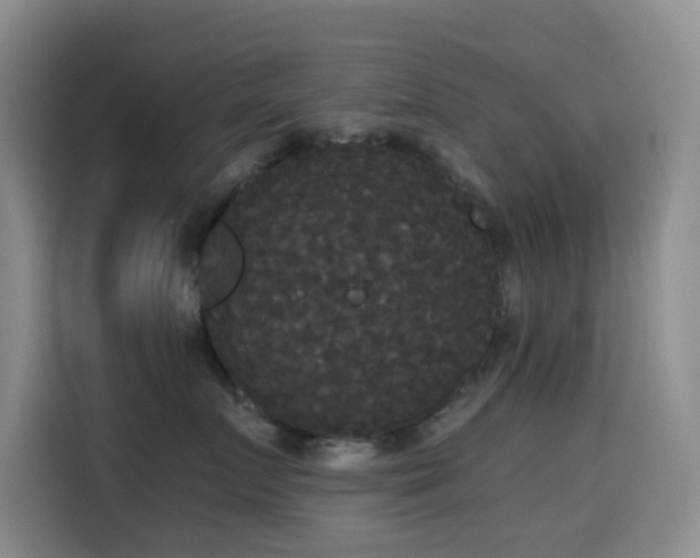 X0000114590719200910191557