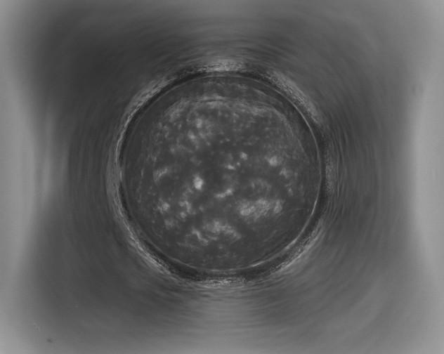 X0000114590721200910191556
