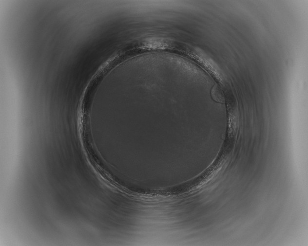 X0000114590722200910191556
