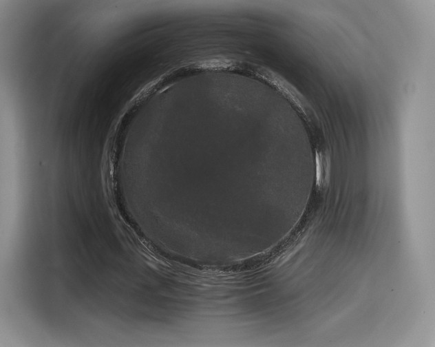 X0000114590723200910191556