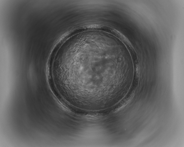 X0000114590725200910191556
