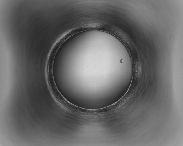 X0000114590726200910191556
