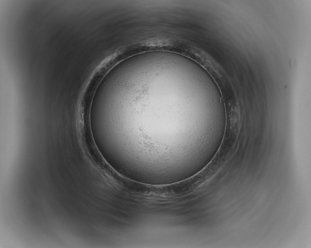 X0000114590727200910191556