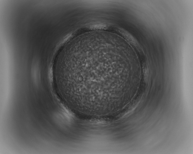 X0000114590729200910191556