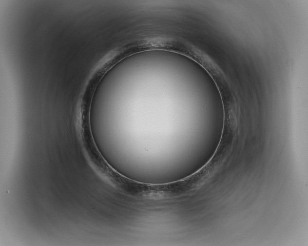 X0000114590730200910191556
