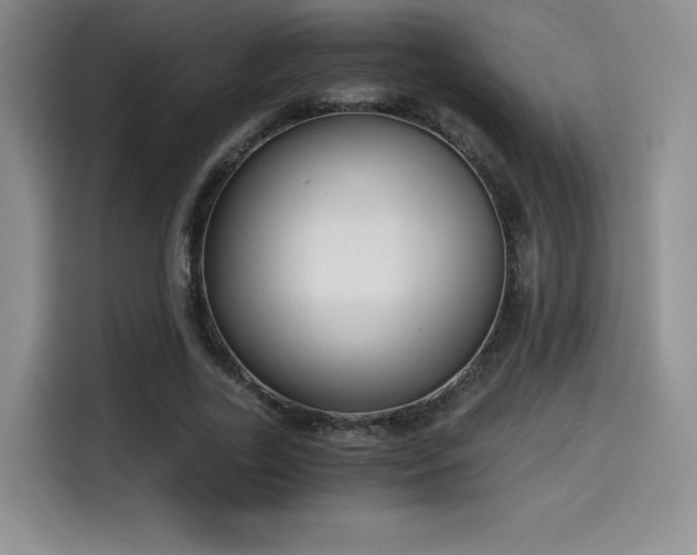 X0000114590731200910191556