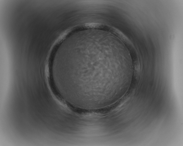 X0000114590734200910191556
