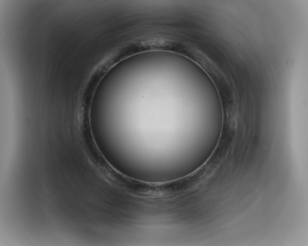 X0000114590735200910191556