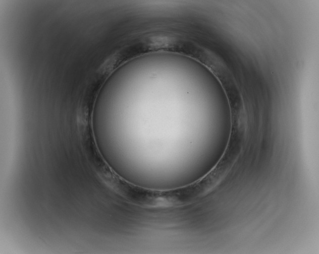 X0000114590737200910191556