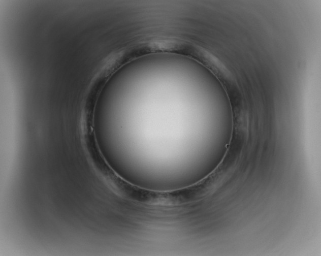 X0000114590738200910191556