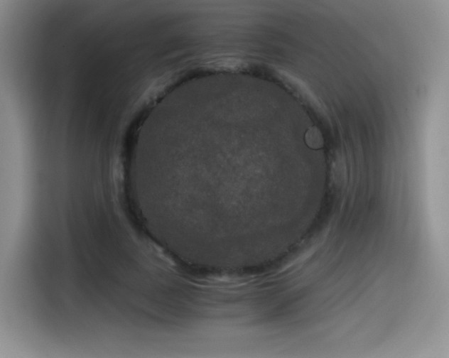 X0000114590739200910191556