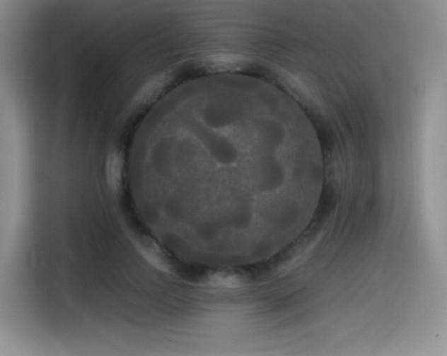 X0000114590742200910191556