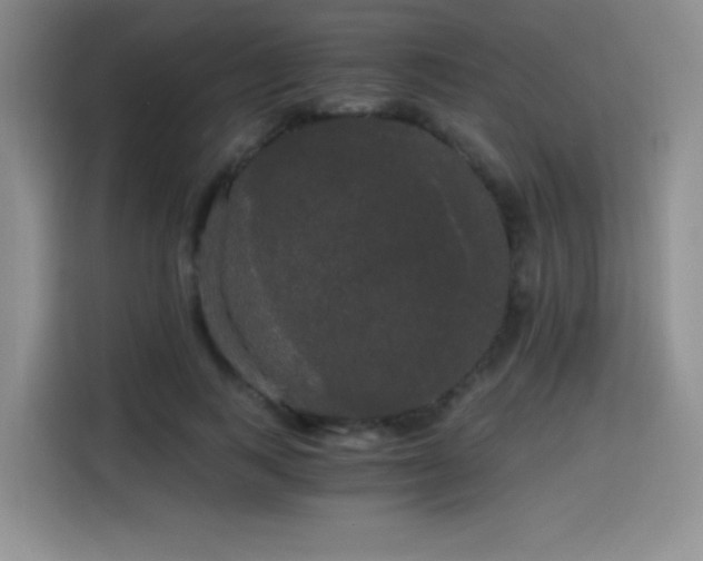 X0000114590743200910191556
