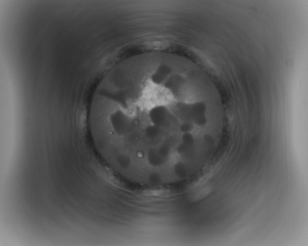 X0000114590745200910191556