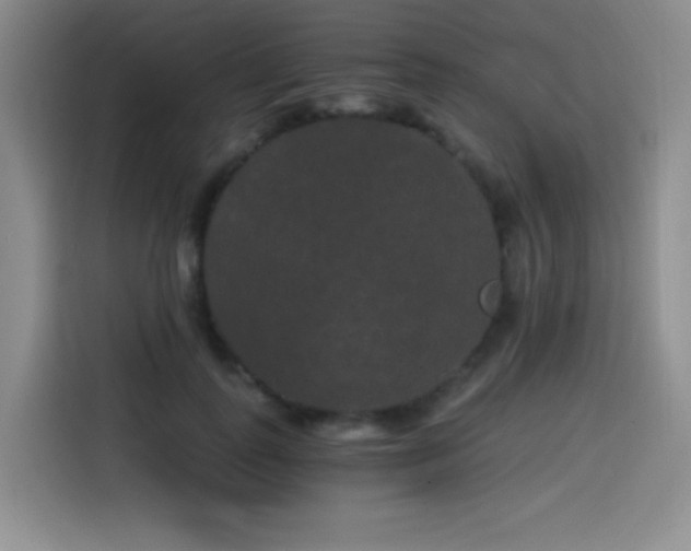 X0000114590747200910191557