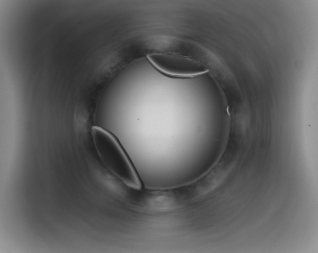 X0000114590750200910191557