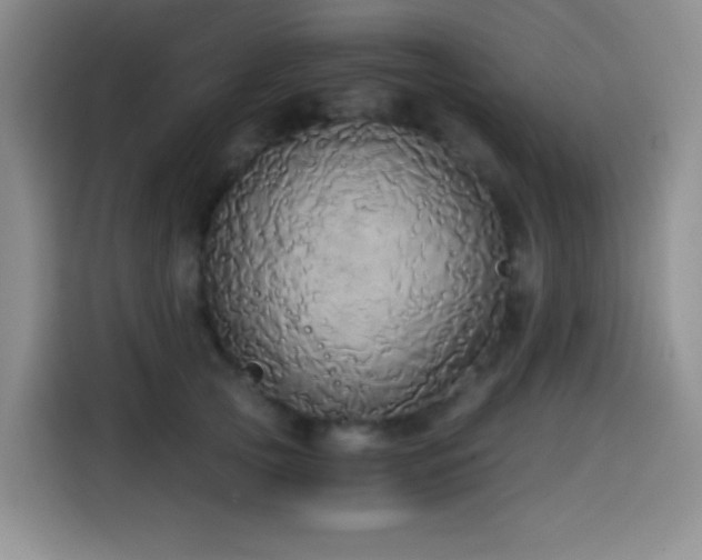 X0000114590753200910191557