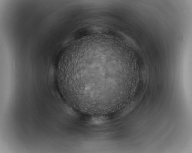 X0000114590757200910191557