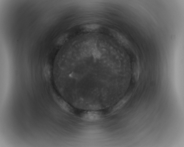 X0000114590758200910191557
