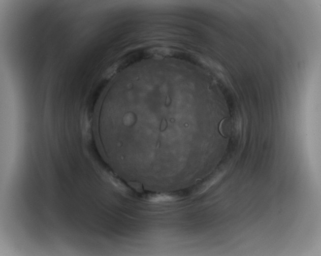 X0000114590759200910191557