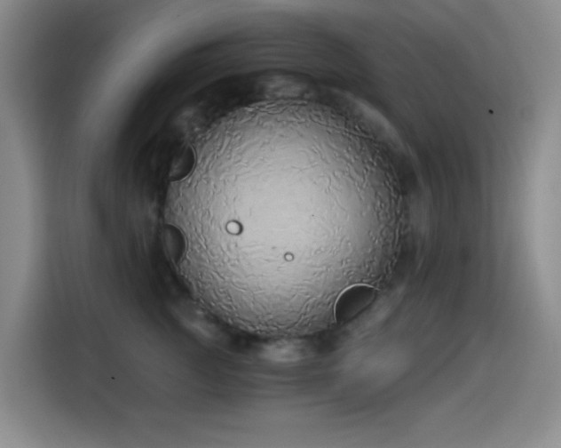 X0000114590761200910191557