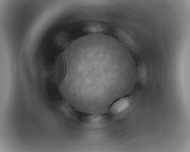 X0000114590762200910191557