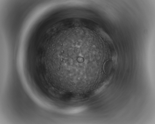 X0000114590765200910191557